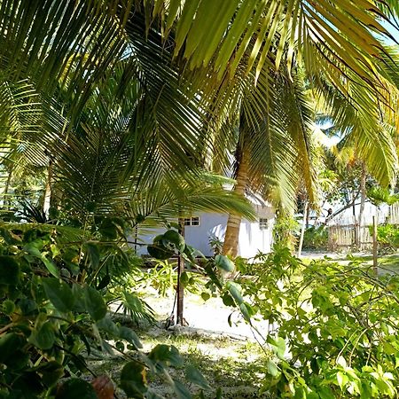Chez Gigi - Eco Lodge Mahahual Buitenkant foto