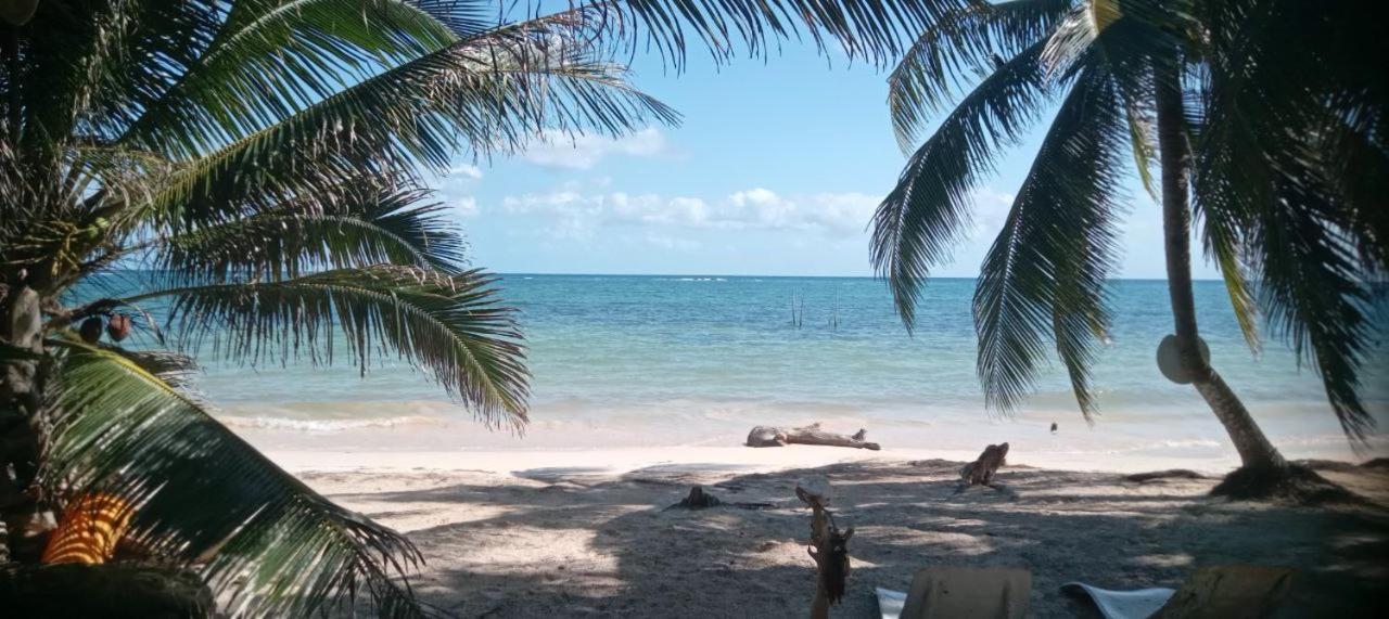 Chez Gigi - Eco Lodge Mahahual Buitenkant foto