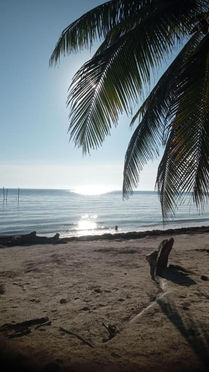 Chez Gigi - Eco Lodge Mahahual Buitenkant foto