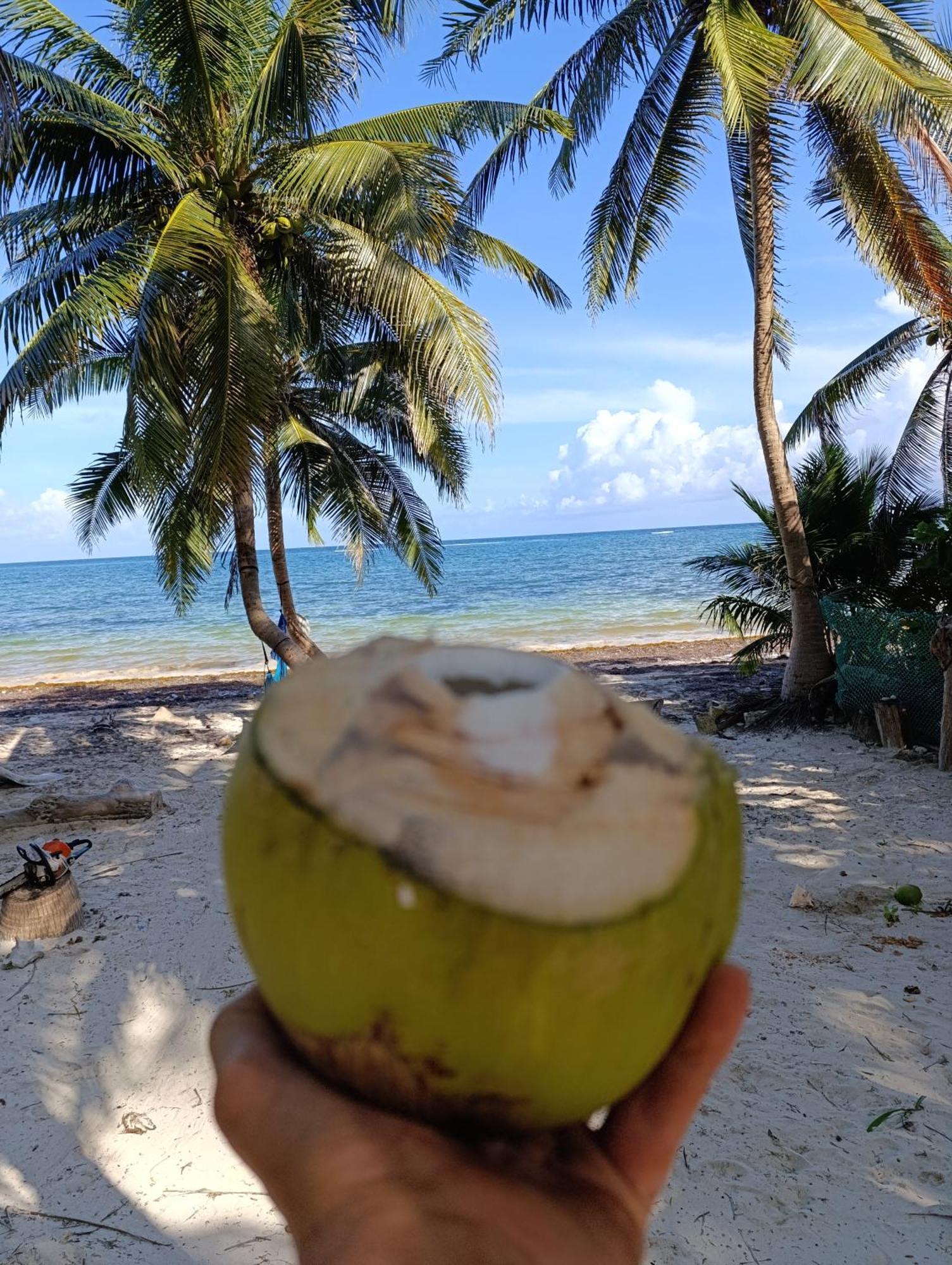 Chez Gigi - Eco Lodge Mahahual Buitenkant foto