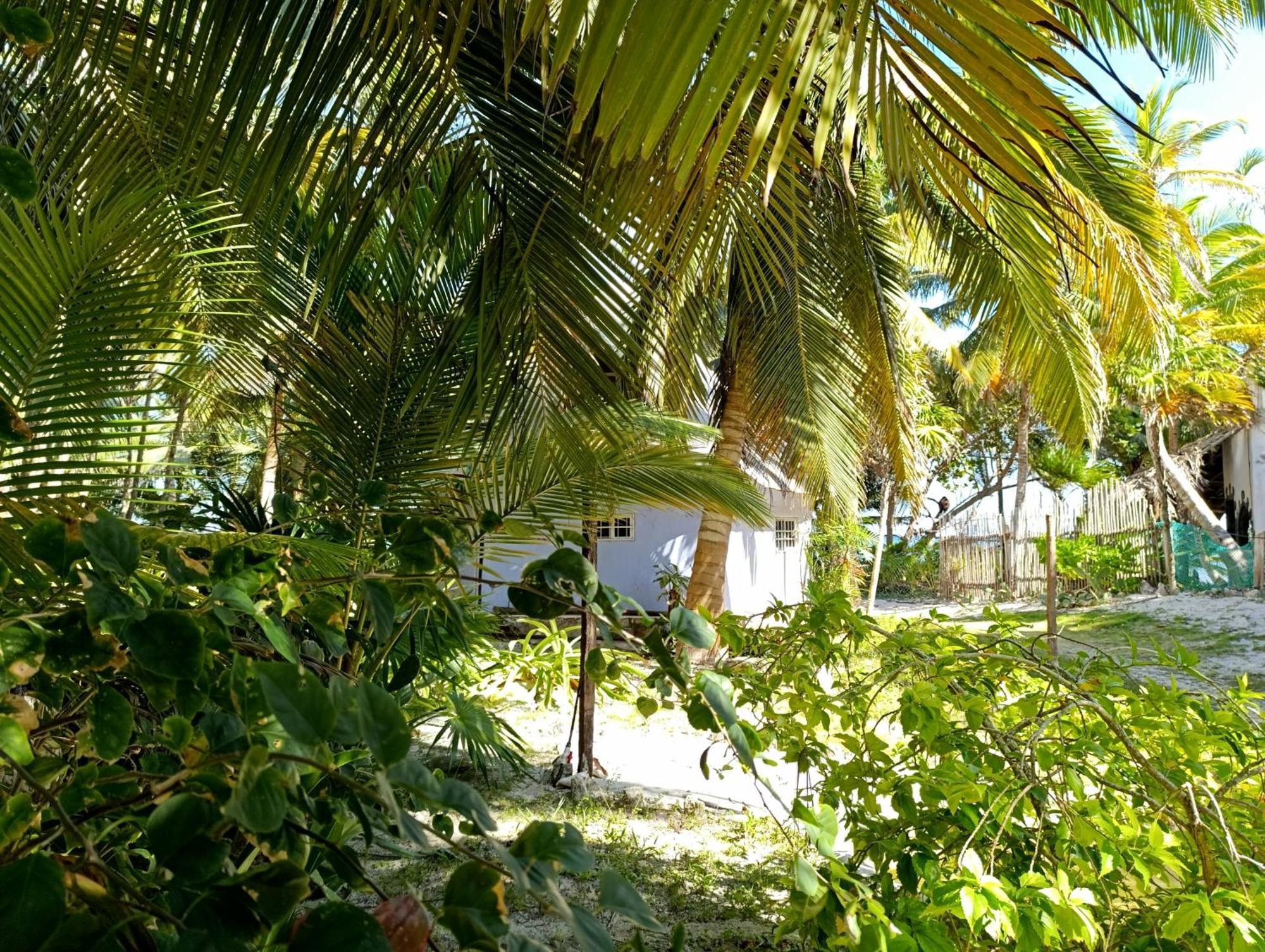 Chez Gigi - Eco Lodge Mahahual Buitenkant foto