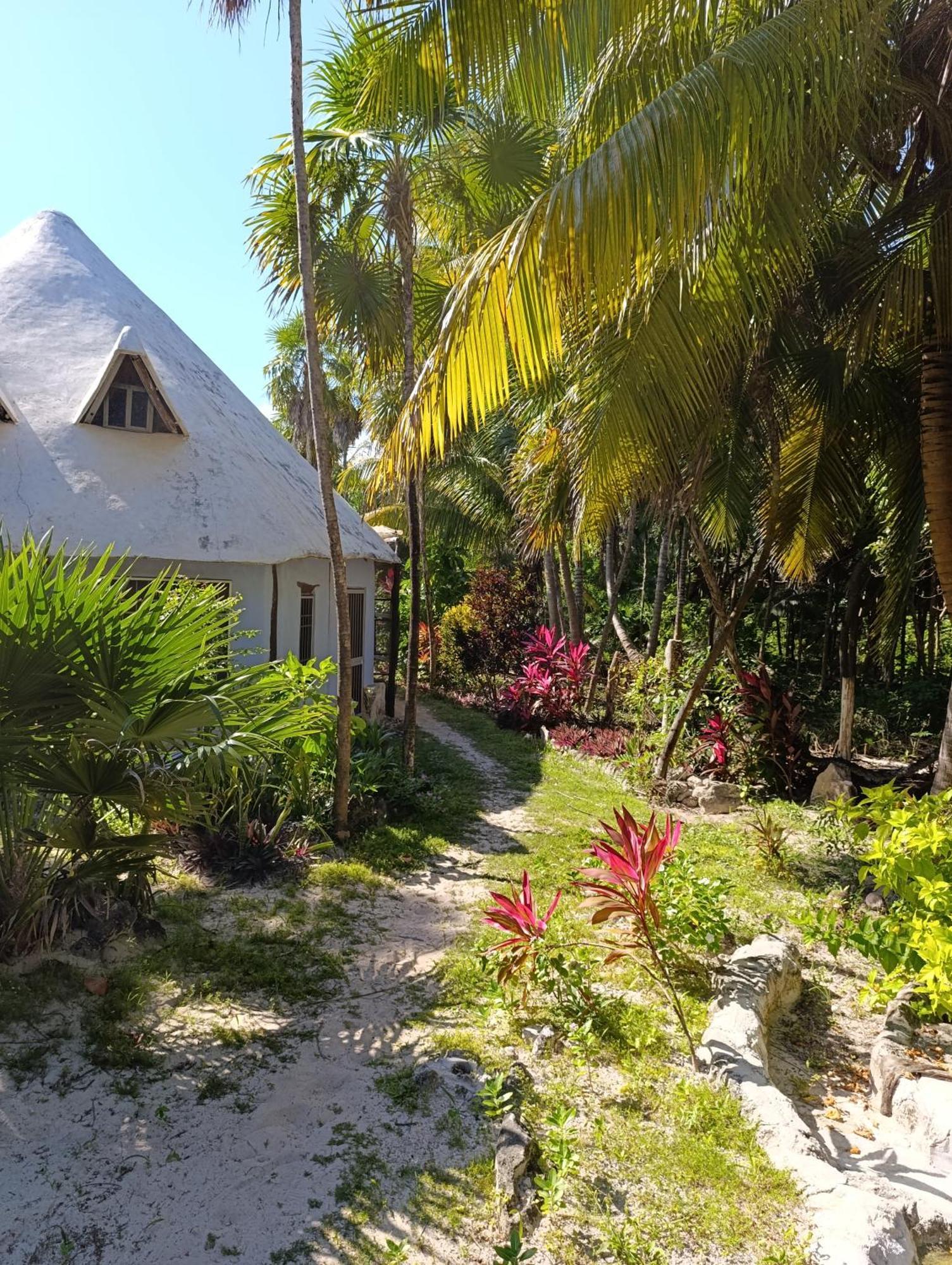 Chez Gigi - Eco Lodge Mahahual Buitenkant foto