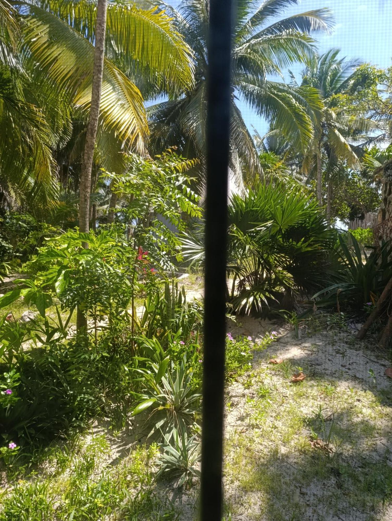 Chez Gigi - Eco Lodge Mahahual Buitenkant foto