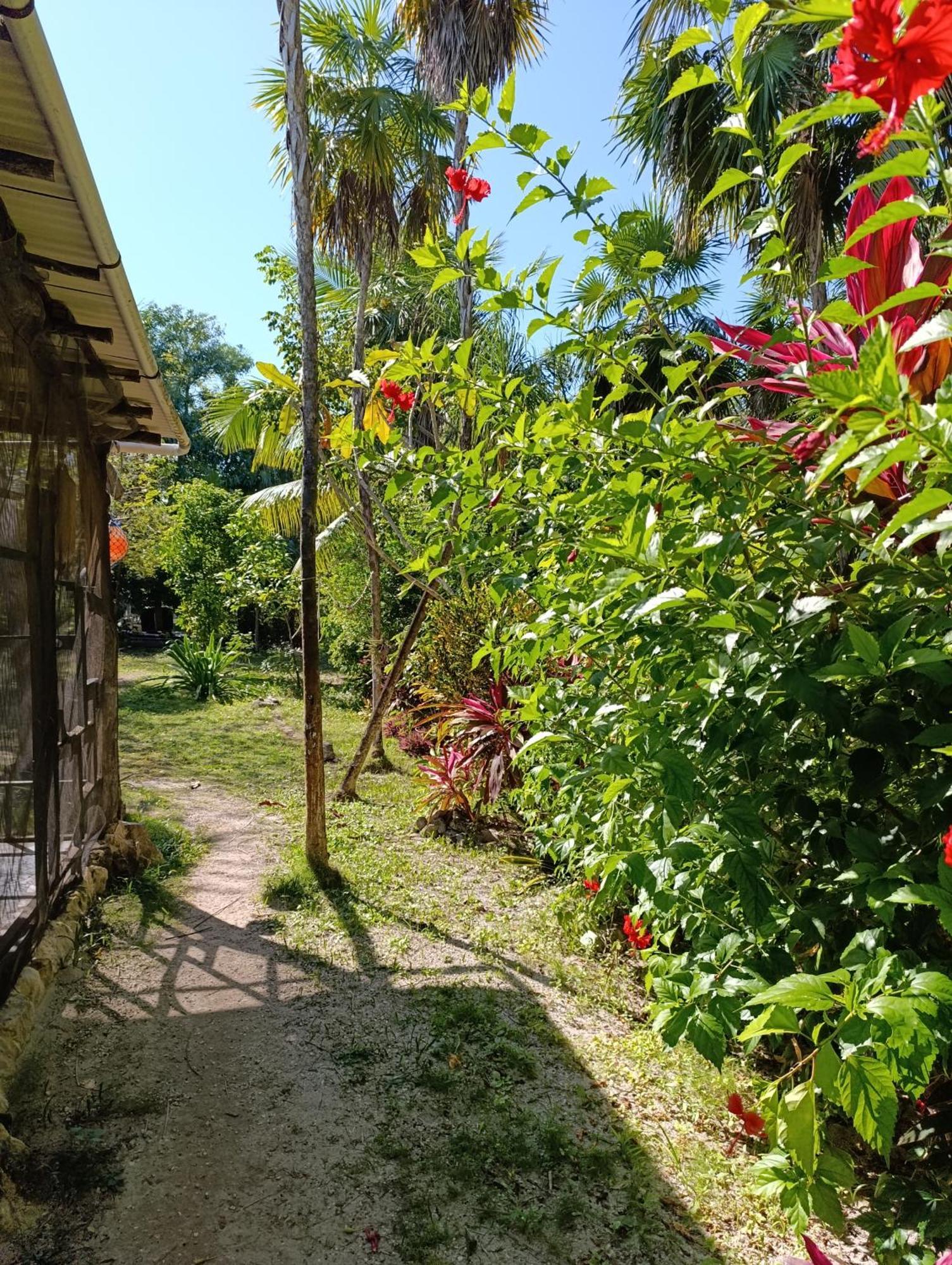 Chez Gigi - Eco Lodge Mahahual Buitenkant foto